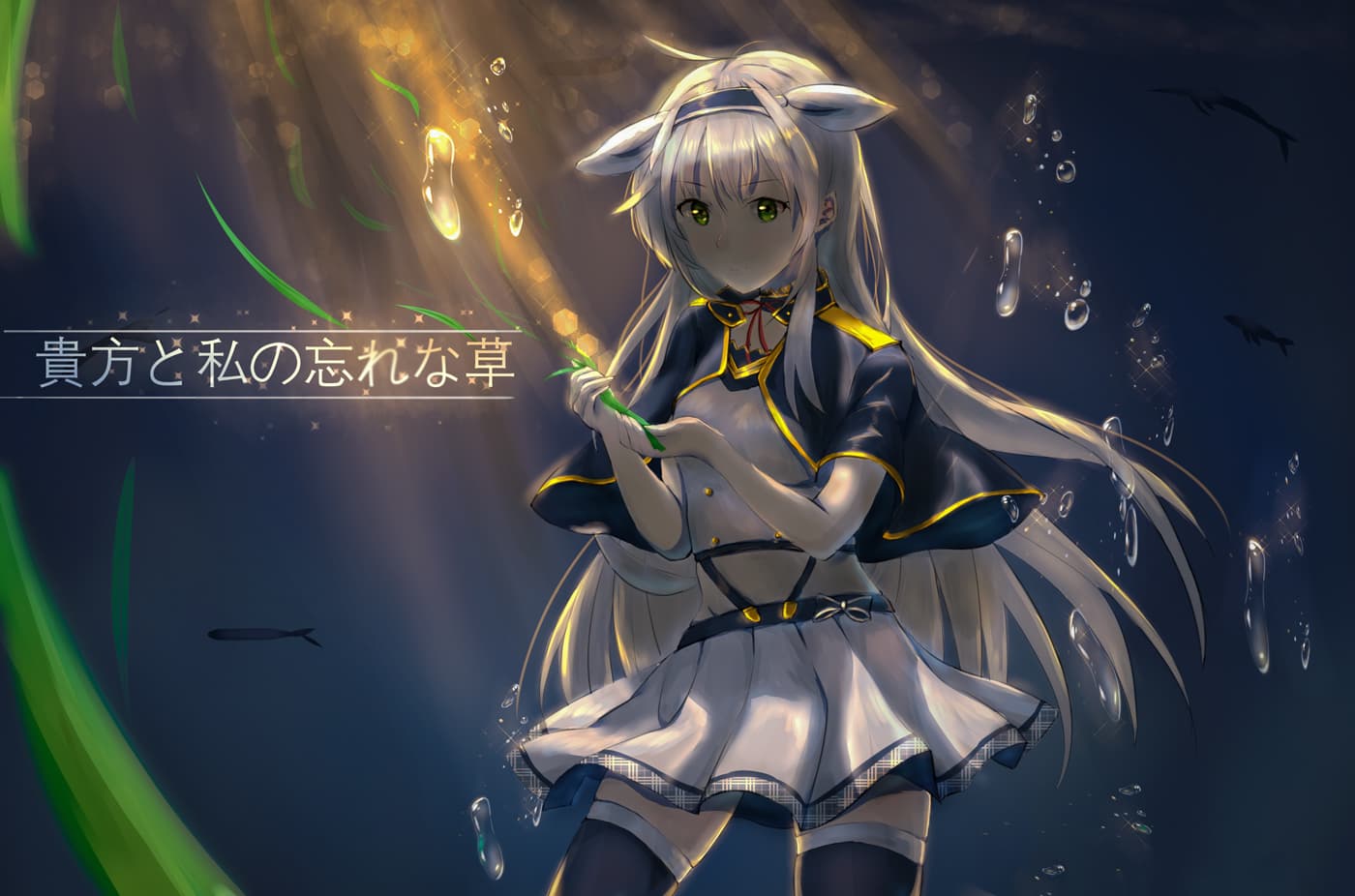 ROKUDENASHIRECORDS060918127