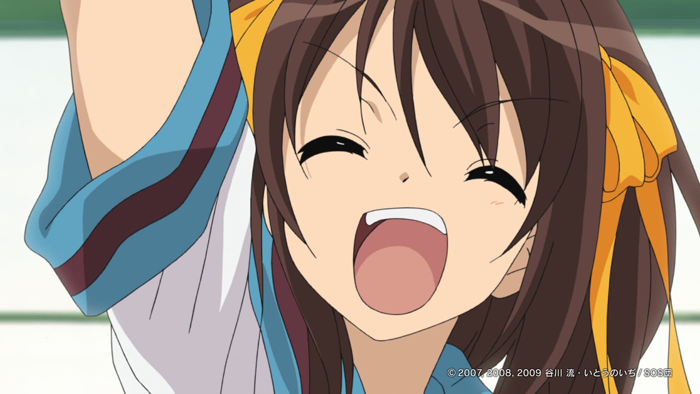 THEMESUZUMIYA060918482