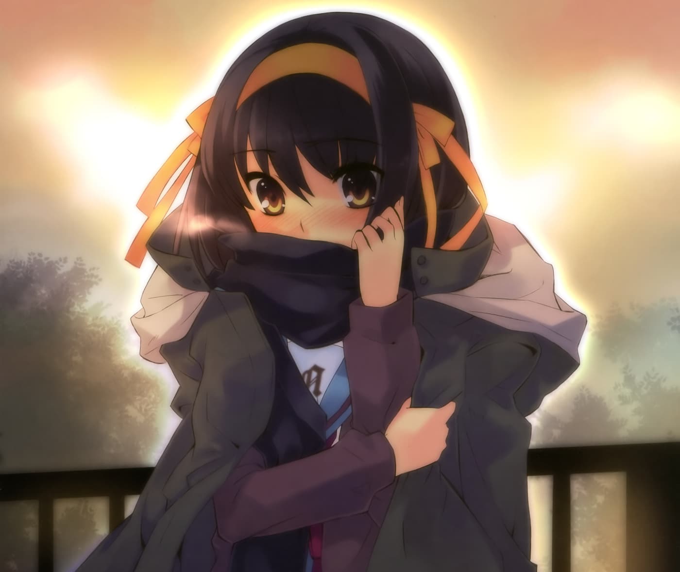 THEMESUZUMIYA060918749