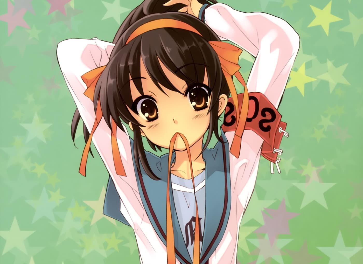 THEMESUZUMIYA060918758
