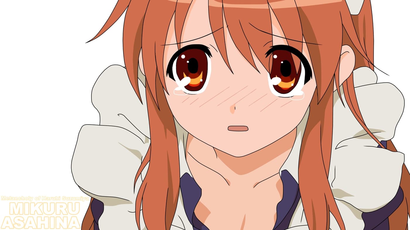 THEMESUZUMIYA060918486