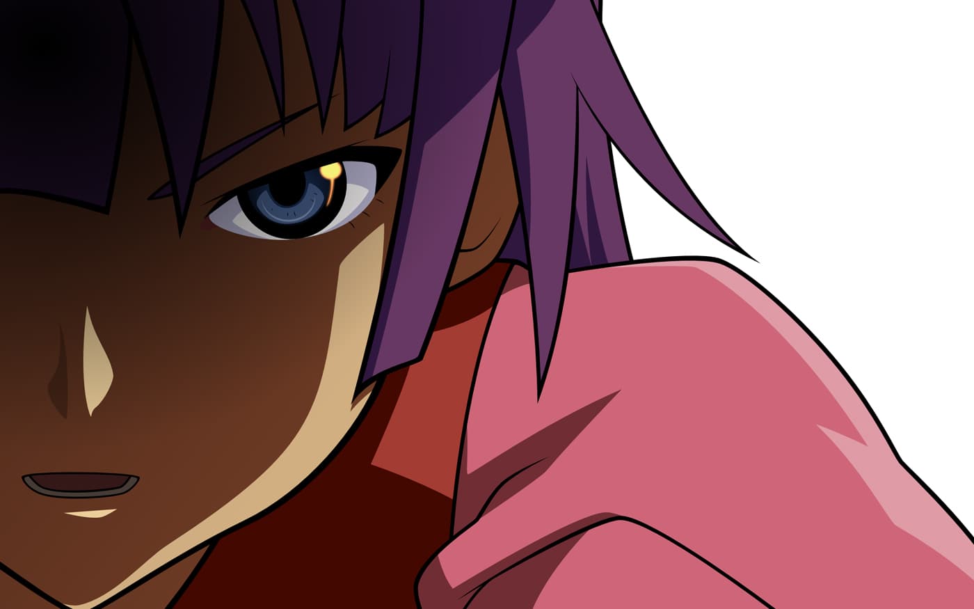 MONOGATARISERIES1060918324