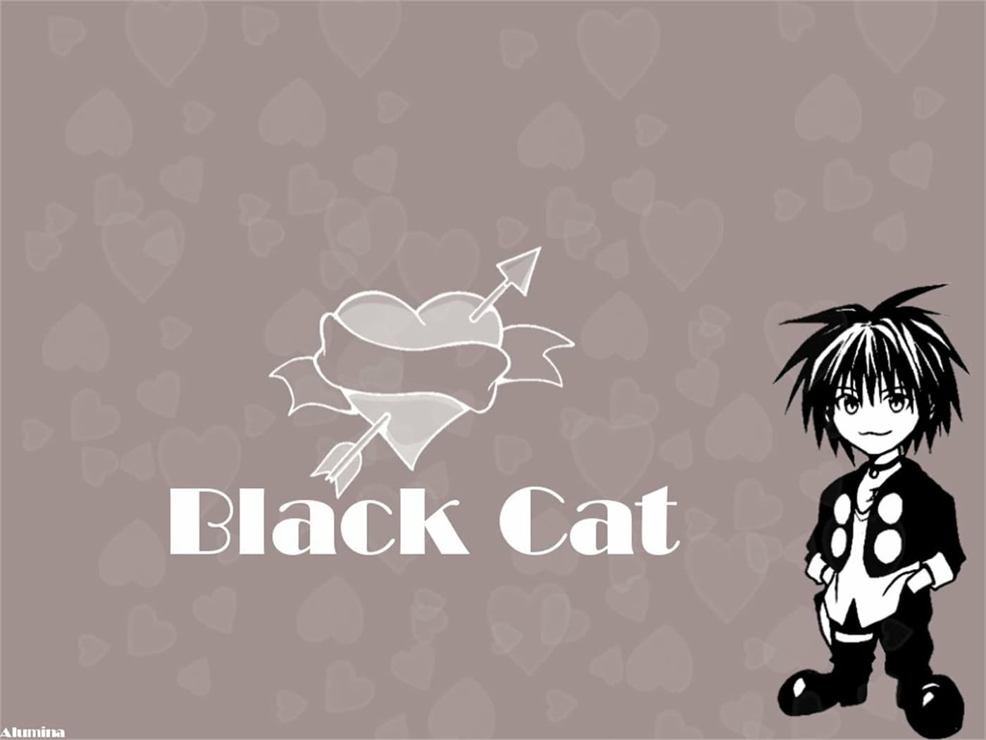 BLACKCAT050918251