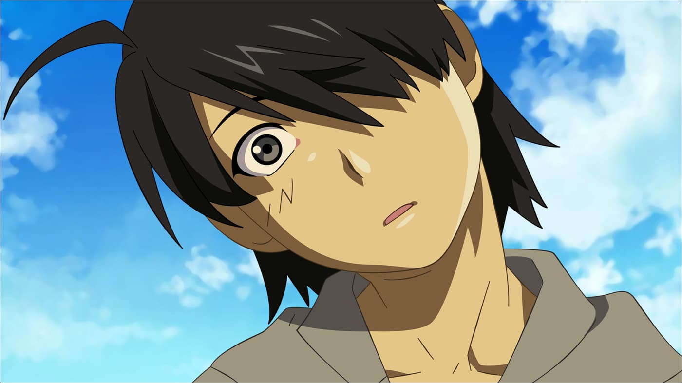MONOGATARISERIES1060918656