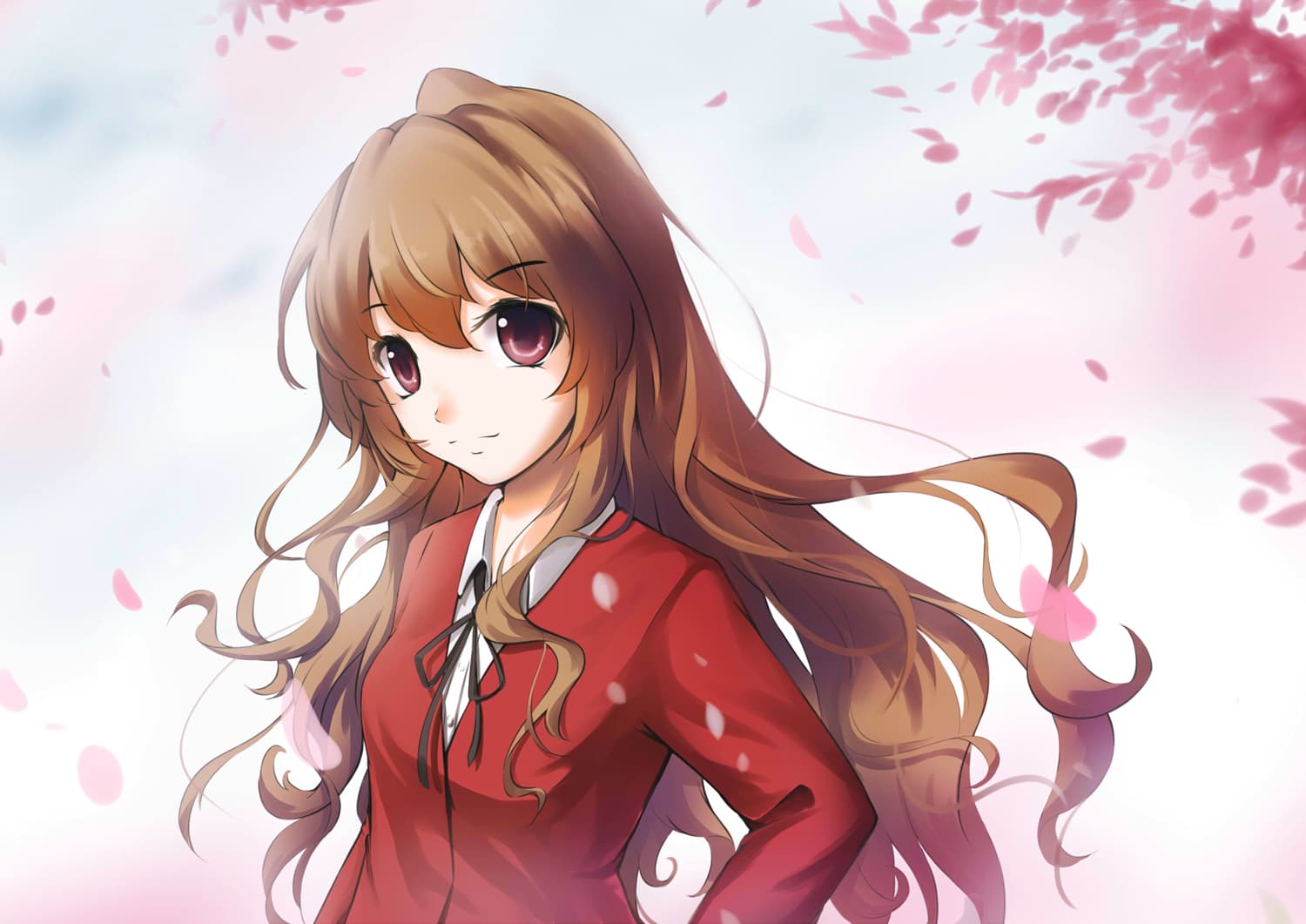 TORADORA663095